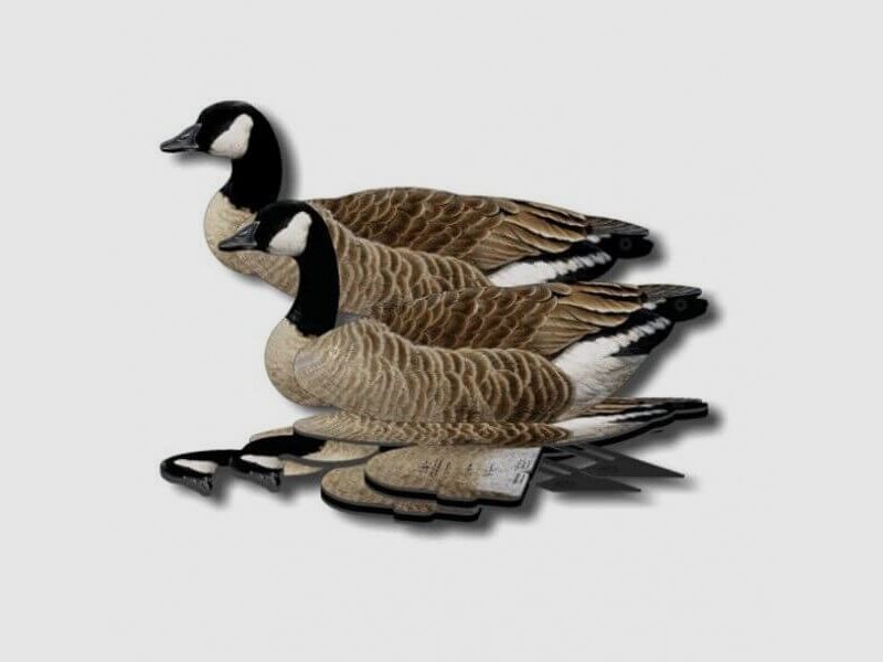 Lockvogel Kanadagans 6er-Set (FUD Decoy)