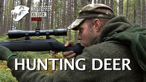 Hunting deer. Filmed and hunted by Kristoffer Clausen