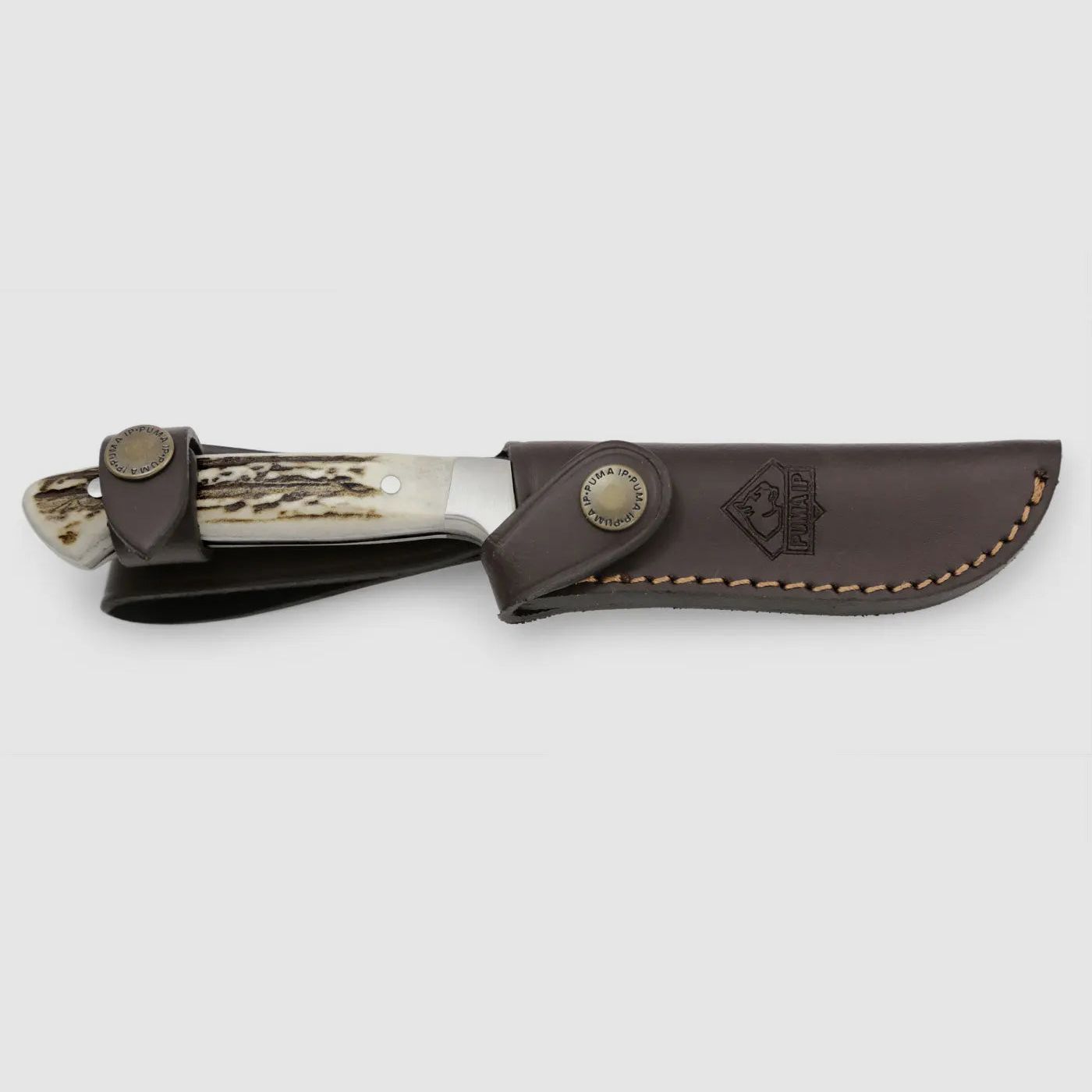 PUMA IP pal 240, Hirschhorn, Bild 6 von 7
