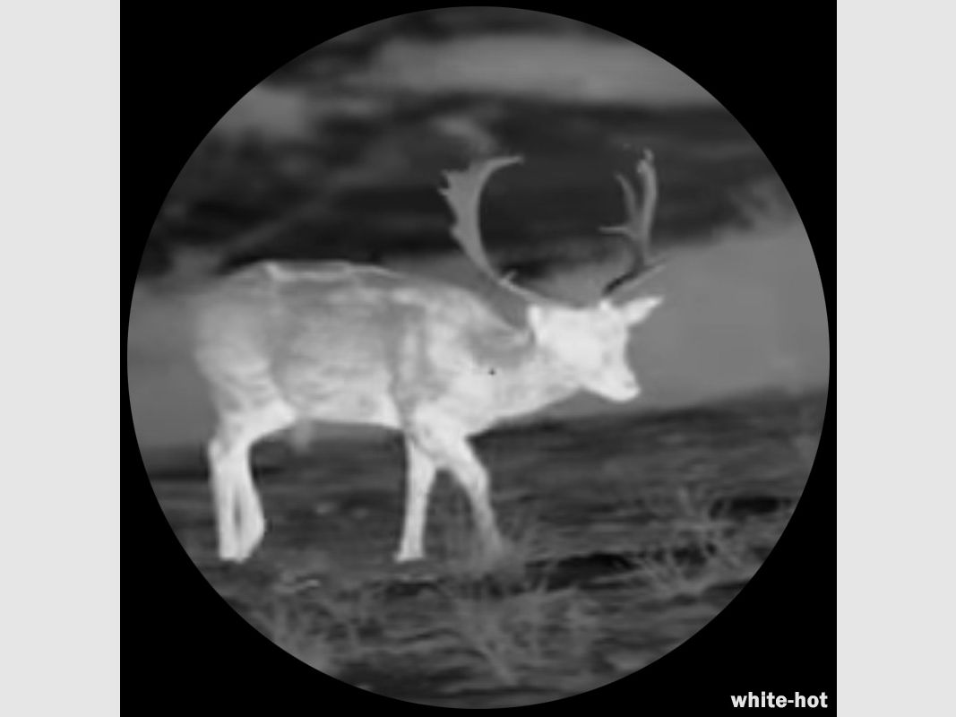 Lahoux Spotter Elite 35V thermal imaging camera