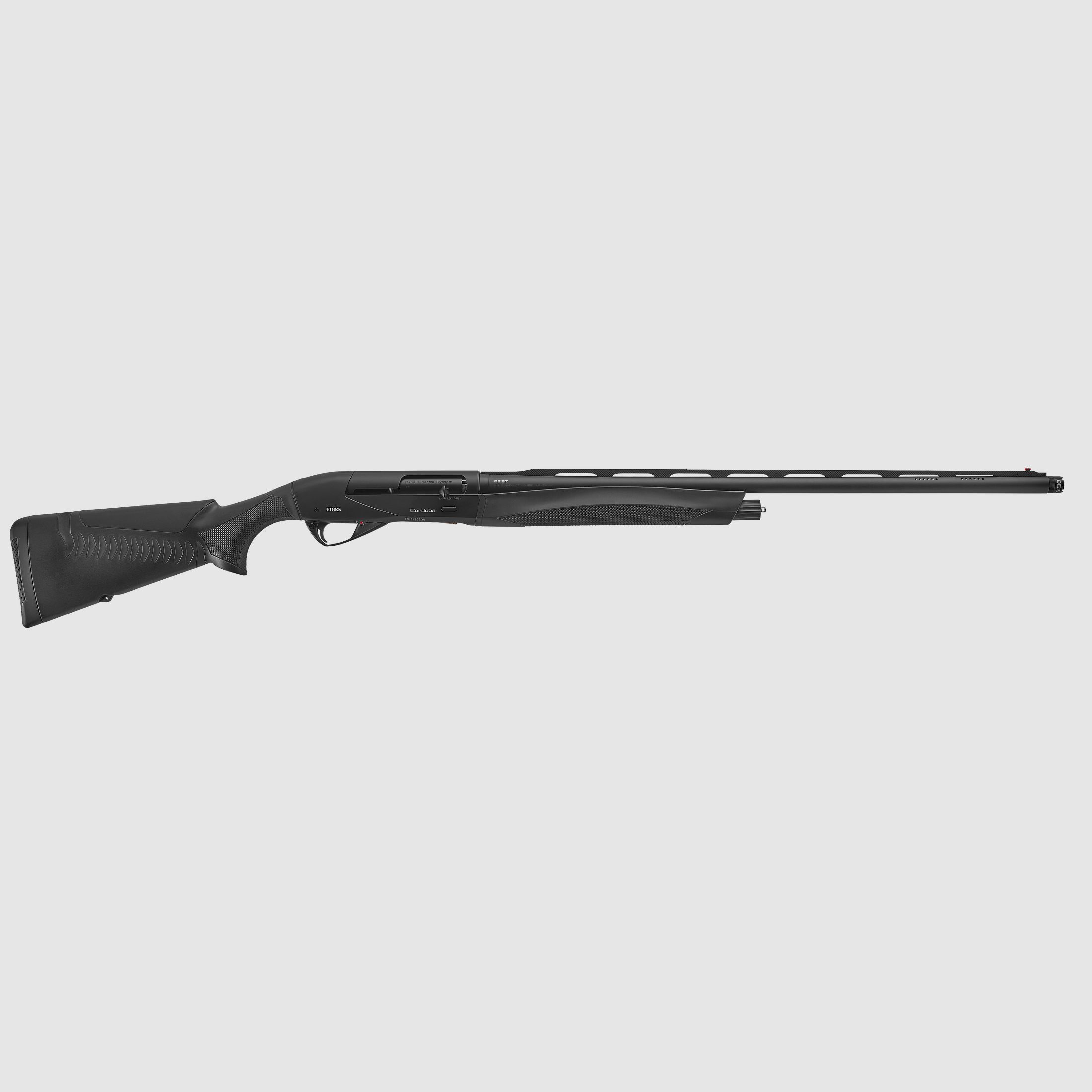 Benelli Raffaello Ethos Córdoba AI