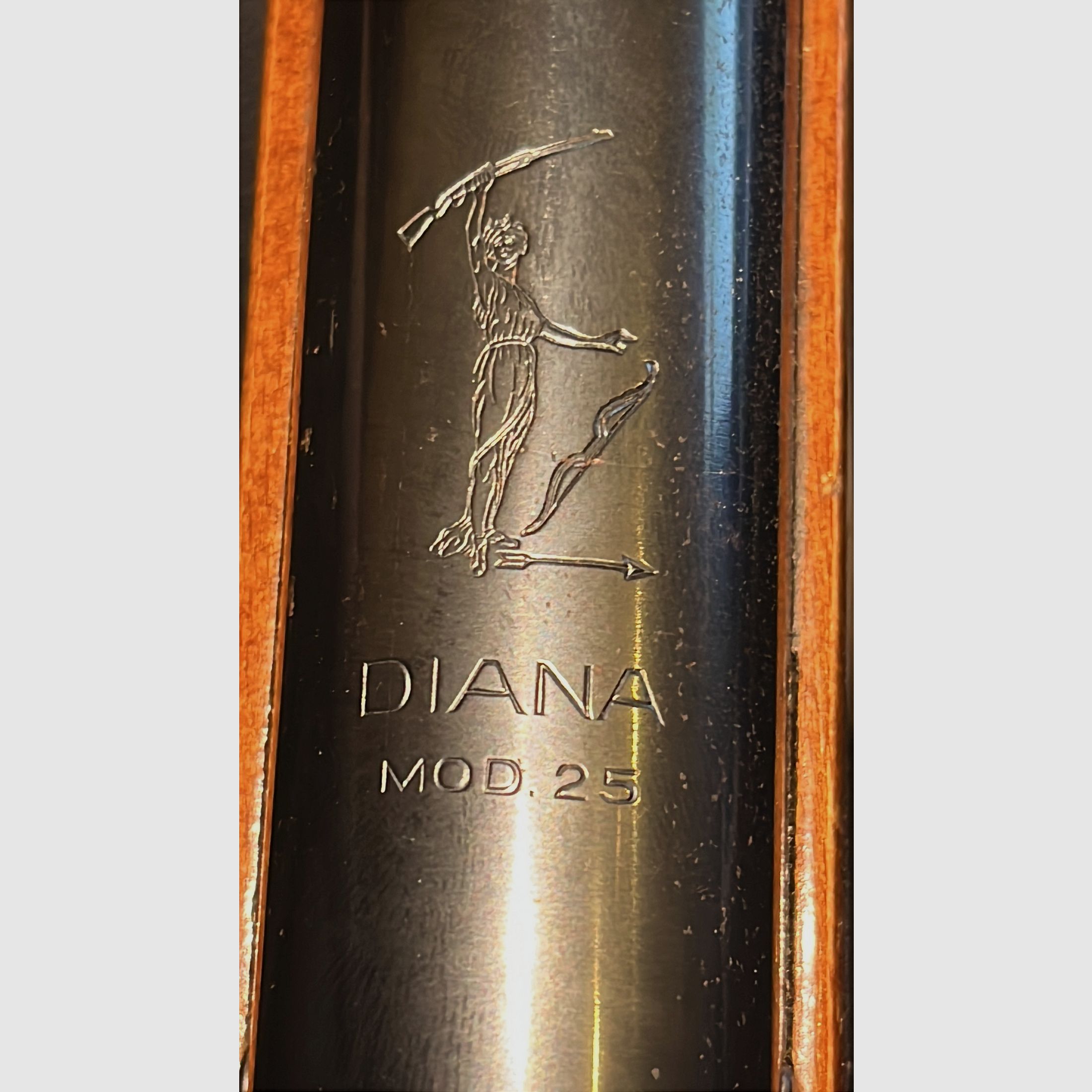 Diana Modello 25