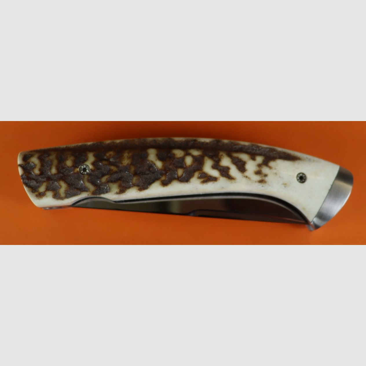 Coltello con manico in legno di cervo, immagine 5 di 5