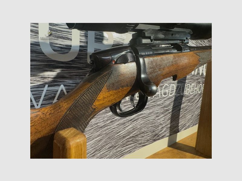 Steyr Mannlicher M; Swarovski 2,5-10-56; Aimpoint; Hausken; Dentler