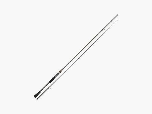 Spinnrute Daiwa Exceler Spinning 221cm 10-35g