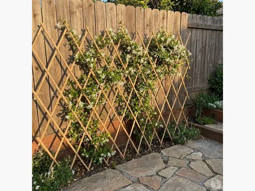 Bamboo trellis 70 x 180 cm