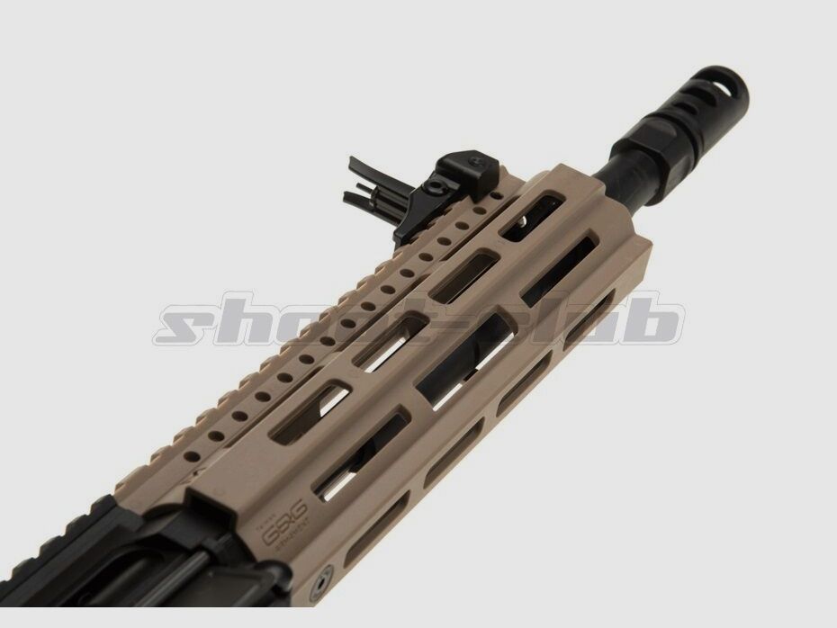 G&G Armament	 G&G CM16 Raider 2.0 Airsoft Gewehr ab14 0,5J TAN