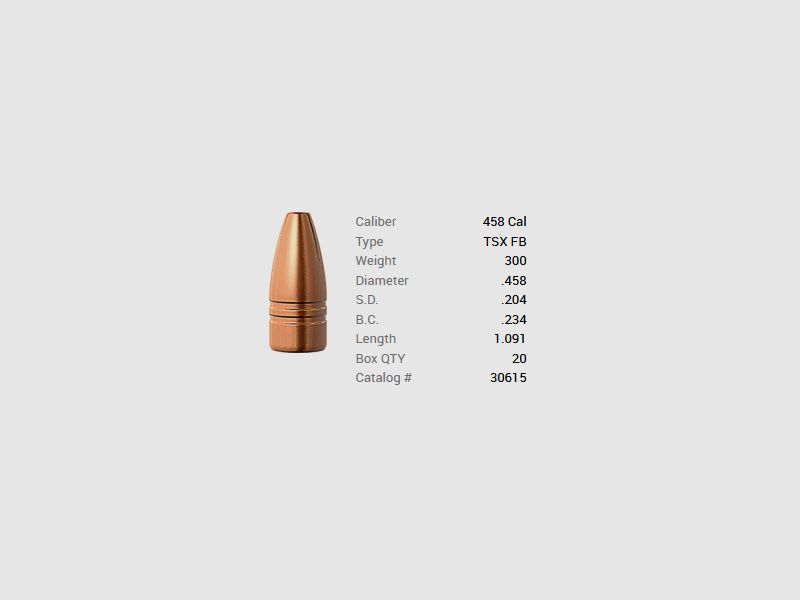Barnes Geschoss .458/.458 300GR TSX HP FB 20 Stück