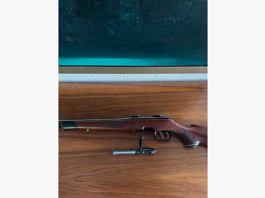 Steyr SL .223 Rem. con MGW, Topp