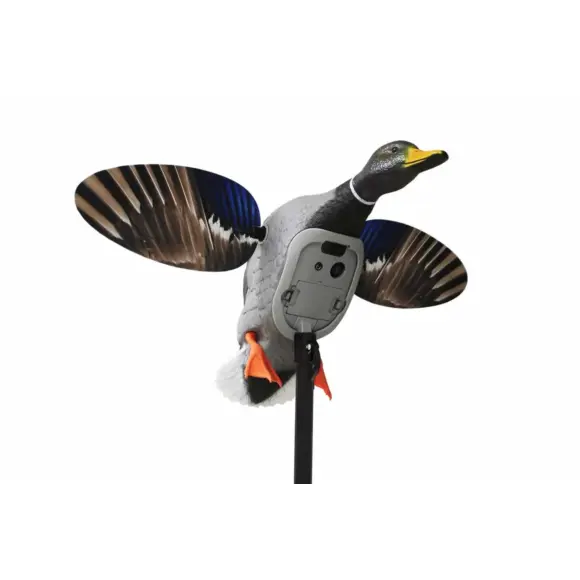 Mojo King Mallard Elite Series Drehente mit Li-Ion-Batterie 6V, Bild 1 von 6