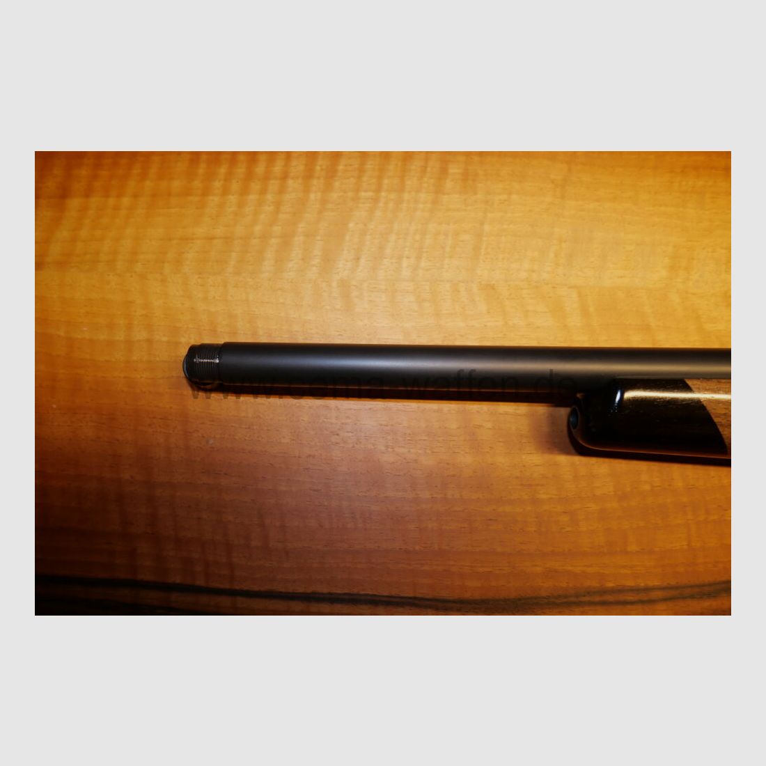 Sauer & Sohn 202	 S 202 Forest