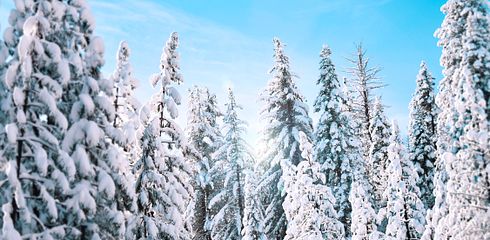 The Best Equipment for Winter Hunting