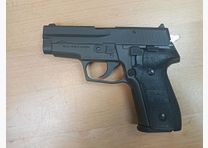 Dlask Arms Canada DAC 394