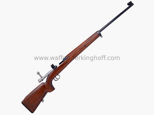 Carl Gustafs M63 Schweden 1905 Elit