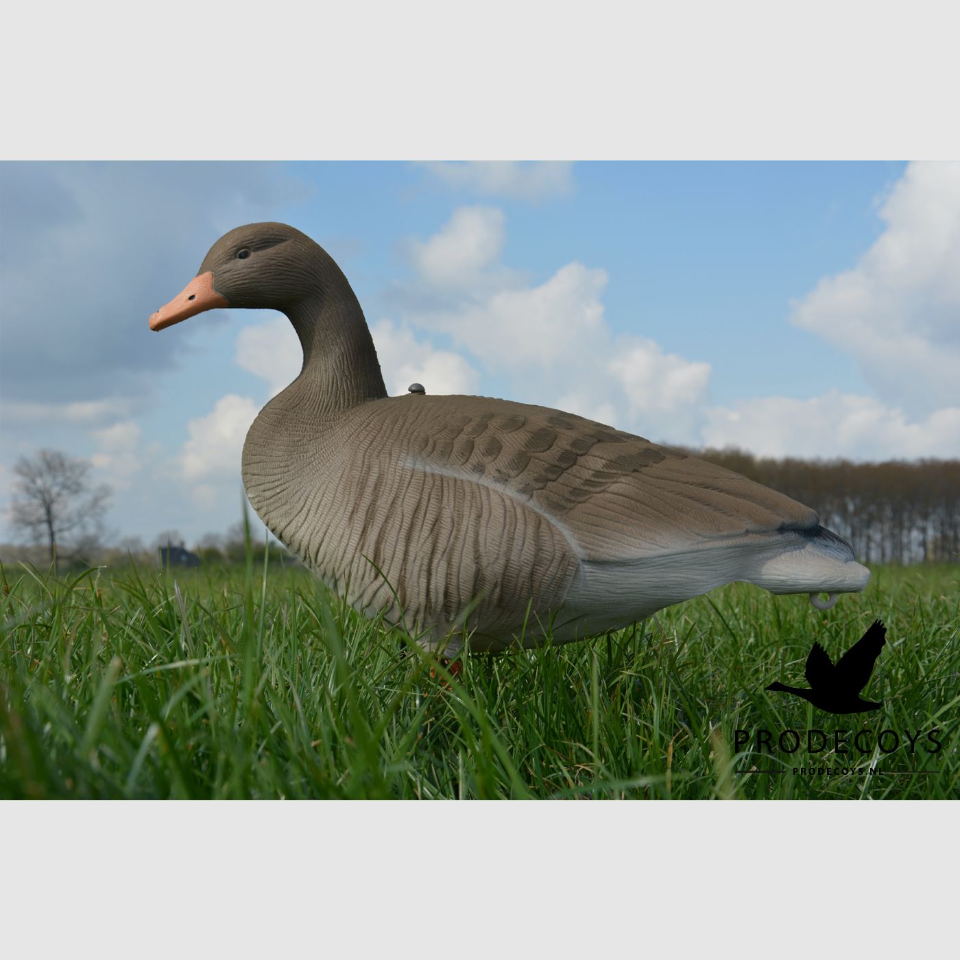 Prodecoys Formes floquées d’oie cendrée Full Body Ultralight Series – lot de 12, image 8 sur 9