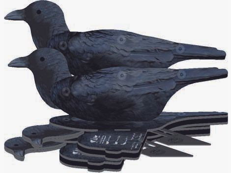 National Rifle Association FUD Lockvogel Krähe 6er Pack