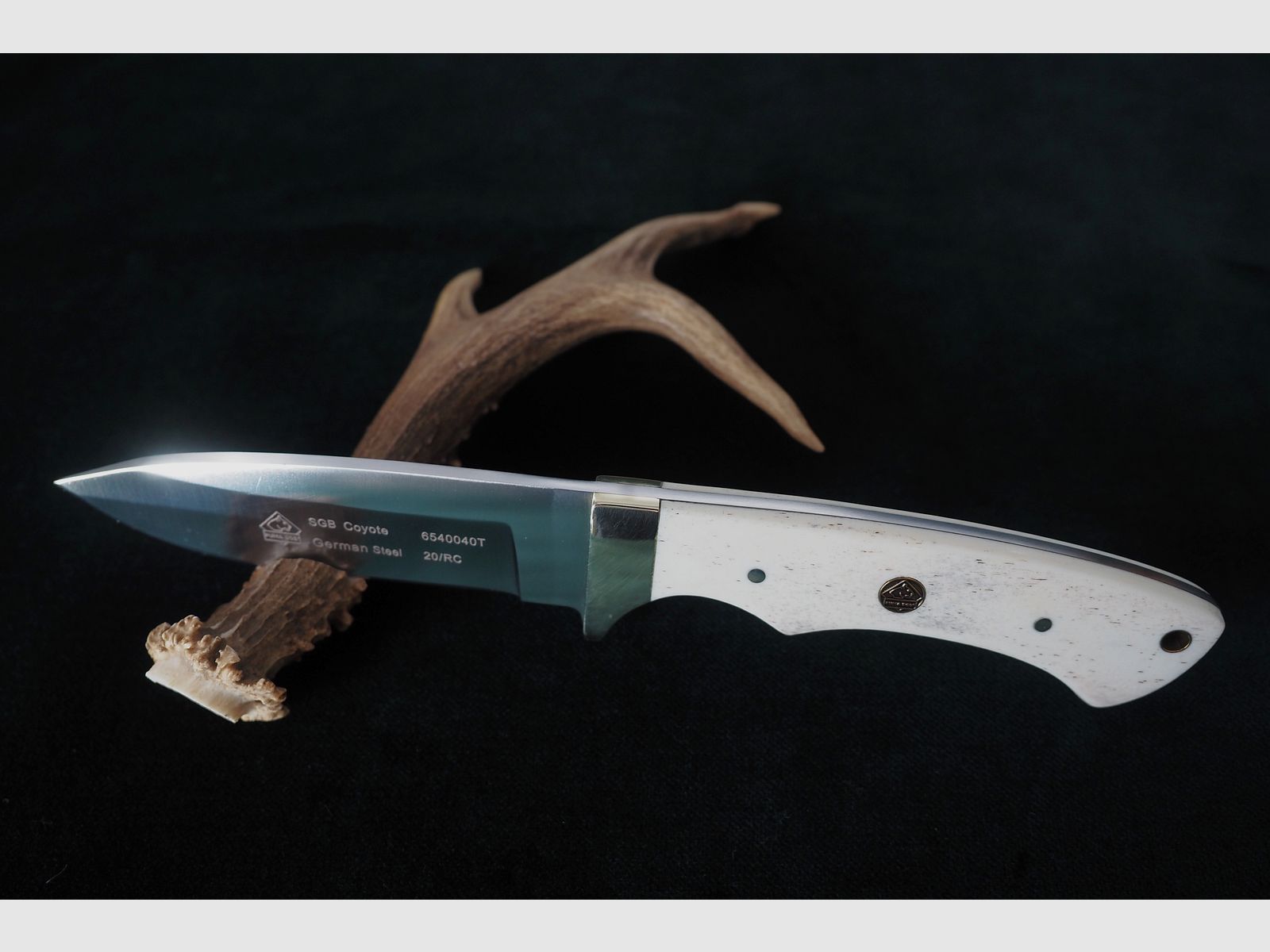 Puma SGB Coyote Glattes Weißes Knochen-Jagdmesser mit Lederscheide, Vitrinen Stück aus Sammlung, Neu und unbenutzt