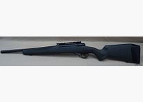 Savage 110