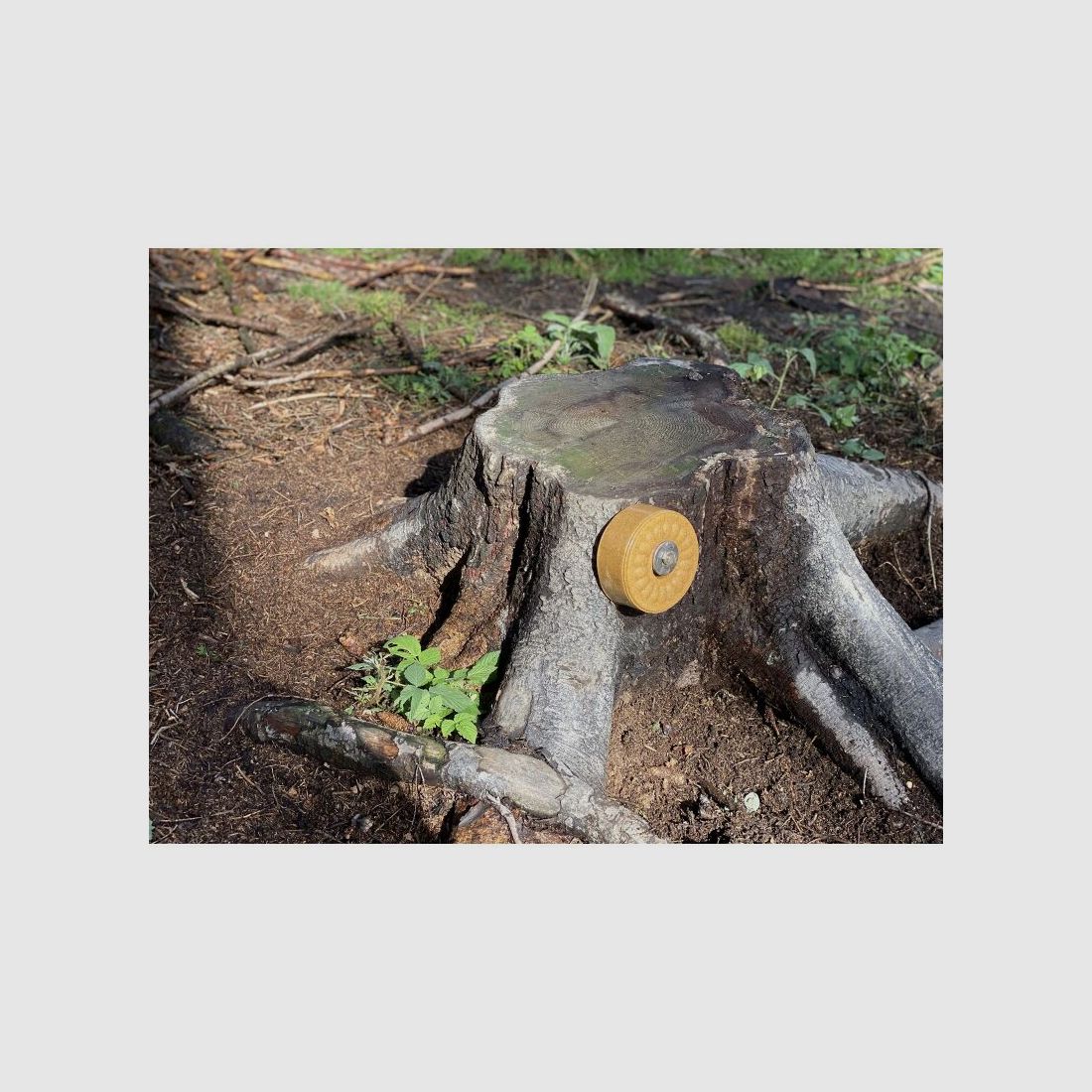 Wildlutscher Schraubenset für Baumbefestigung