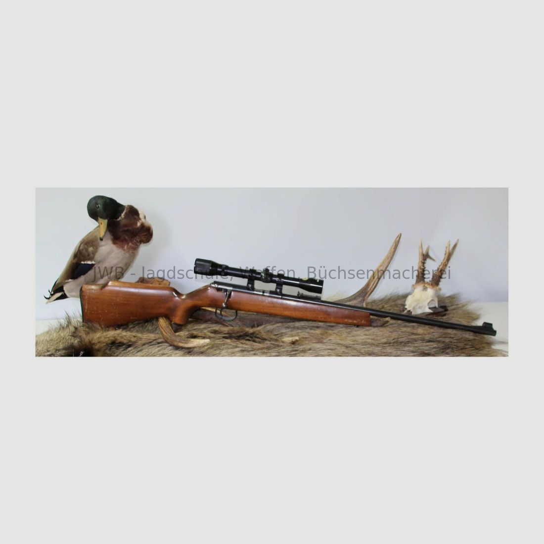 Anschütz 1415 .22lr