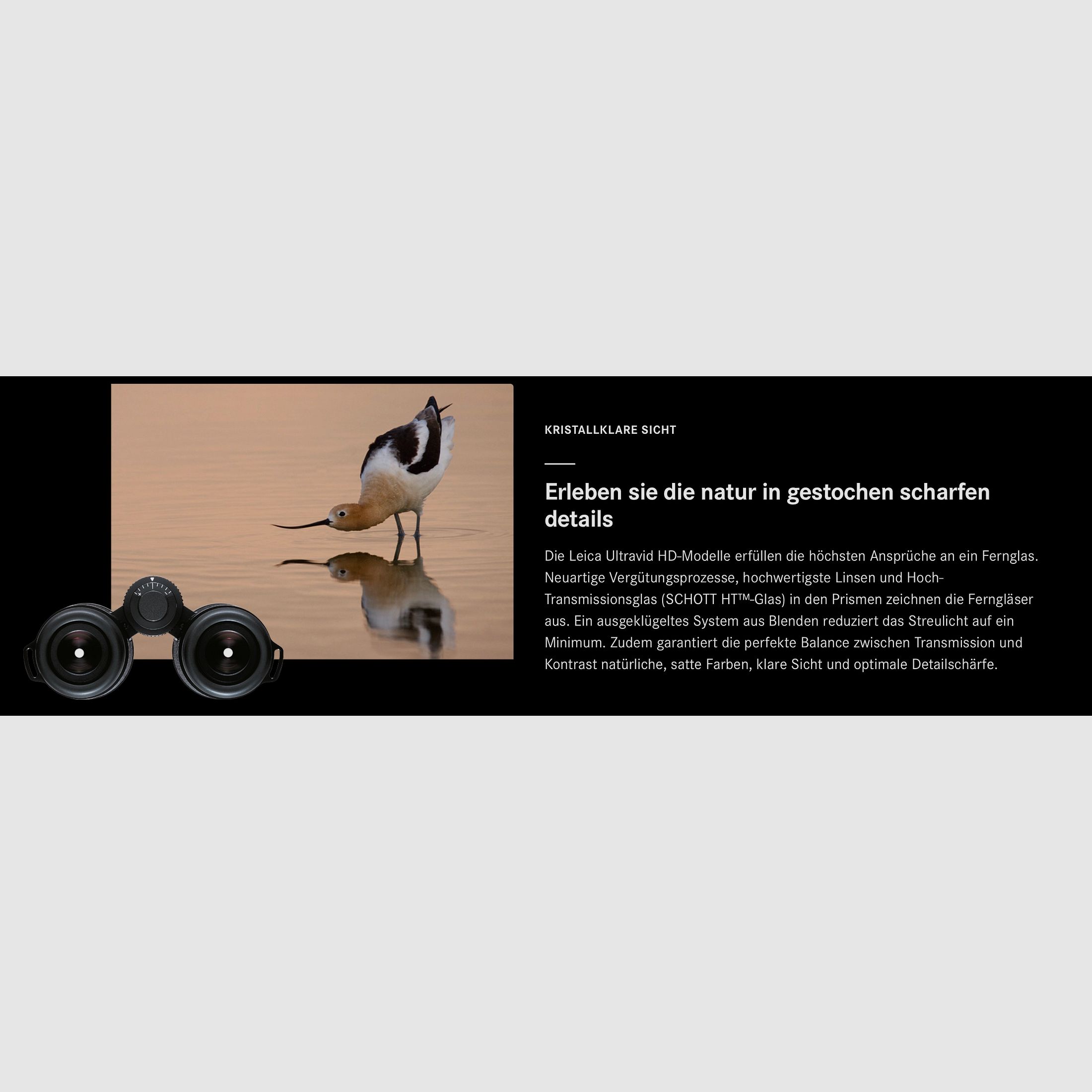 Leica 50381010 Ultravid 8x42 HD-Plus met tas en riem voor vogelobservaties 40093, afbeelding 4 van 4