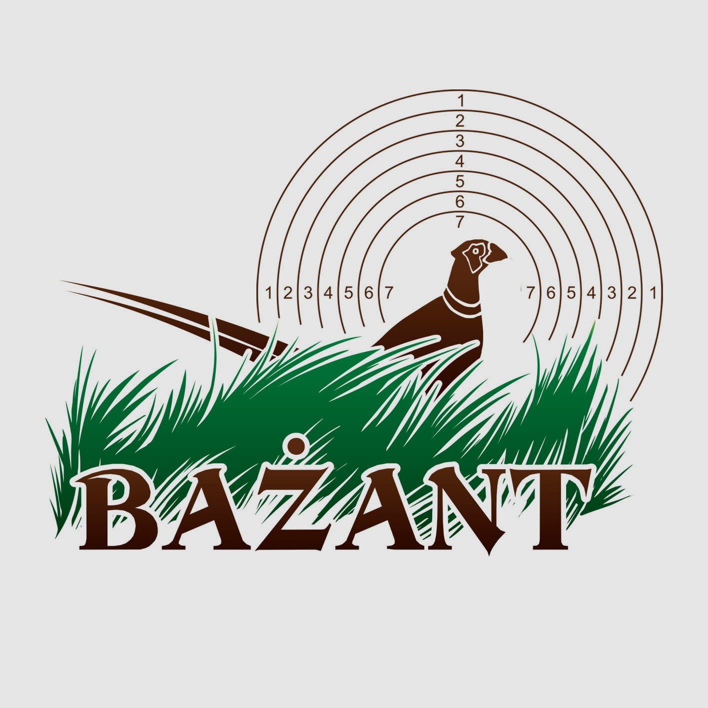 LUNETA ZEISS VICTORY V8 2,8-20X56 SIATKA 60 ASV LR-H ASV LR-S (PIONOWE I POZIOME POKRĘTŁO BALISTYCZNE) Z SZYNĄ ZEISS, zdjęcie 2 z 3
