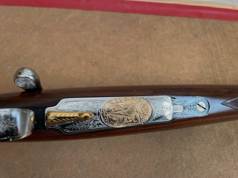 Repetierer - Ferlacher 243 Winchester (H. Scheiring-Düsel)