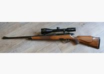 Steyr Mod.M