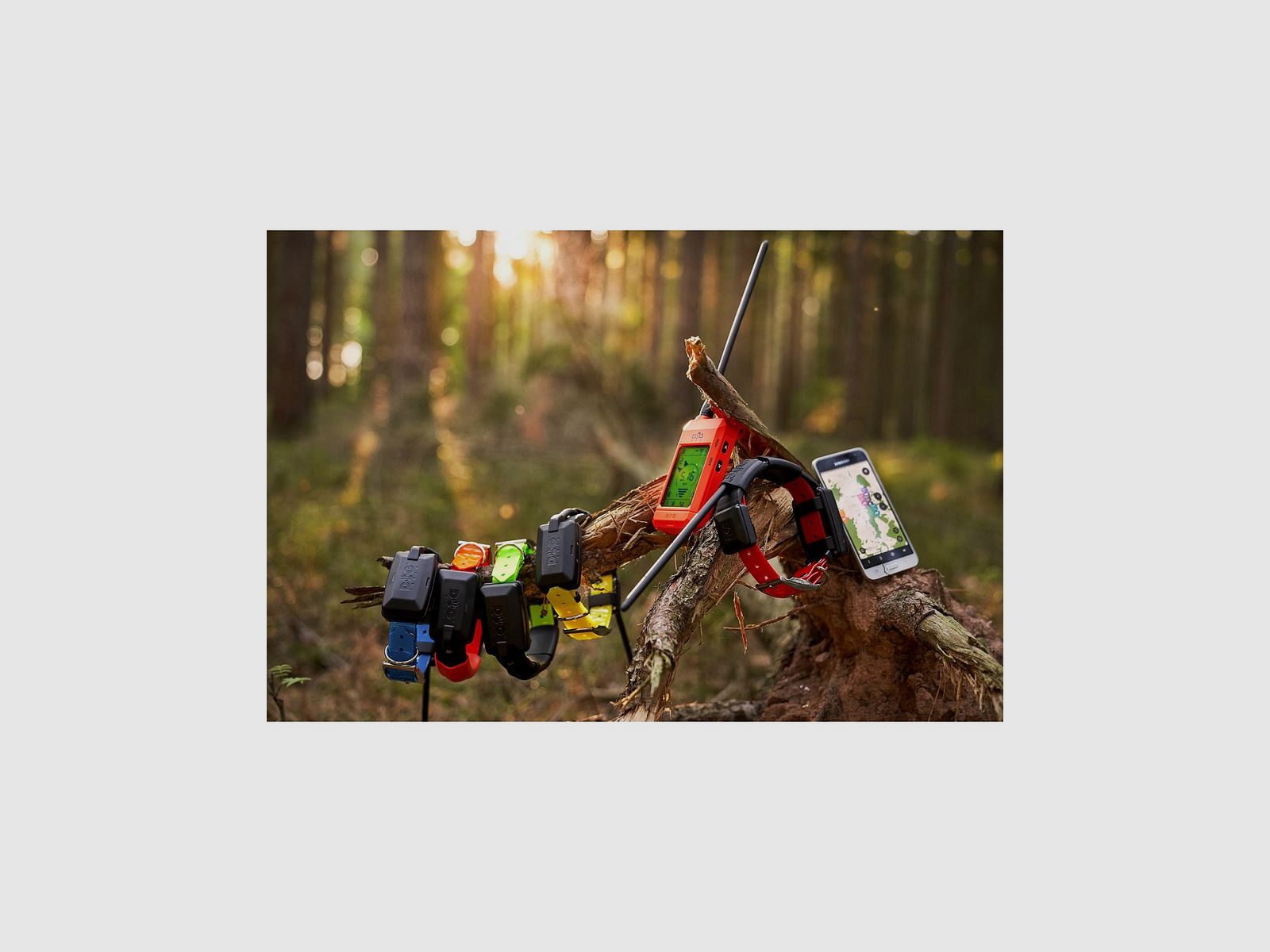 DOG TRACE X30T KIT HANDSCHLAUFE UND GPS-HALSBAND, Bild 6 von 9