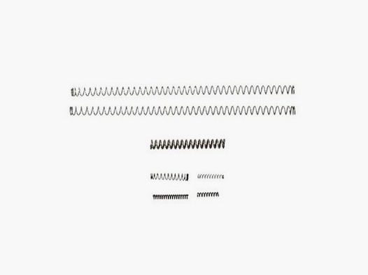 Set di molle di servizio T-I Walther P38