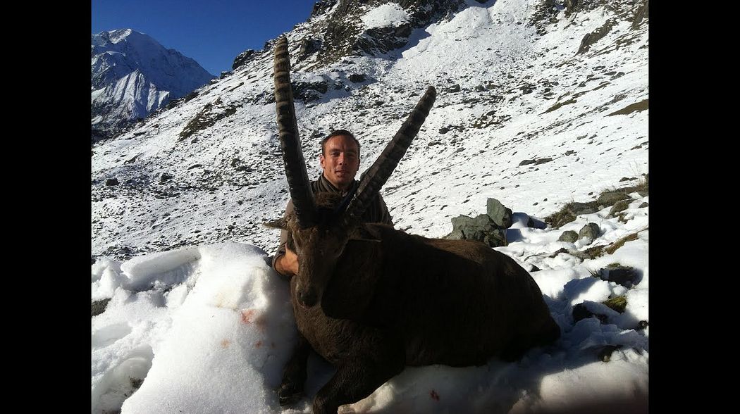 Ibex hunting - Switzerland