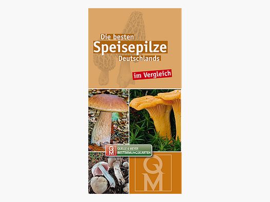 Carte d'identification "Les meilleurs champignons comestibles d'Allemagne"