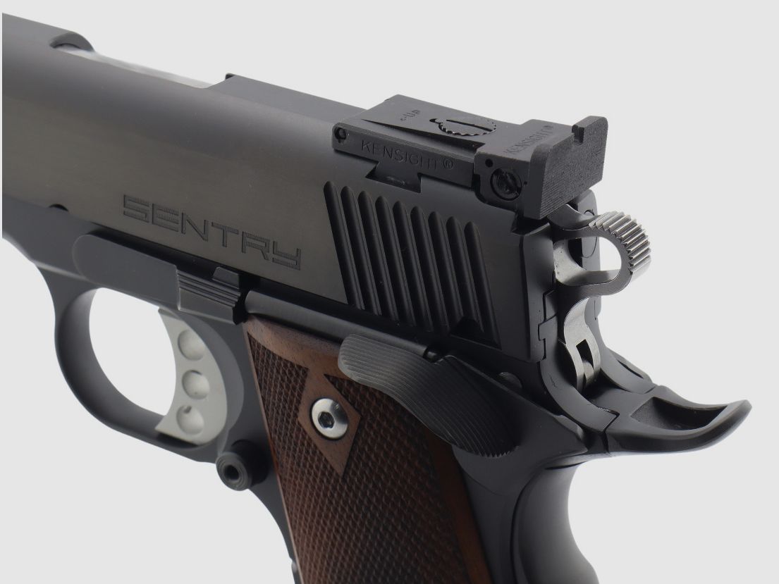 STP Sentry 5.0 di Prommersberger Made in Germany, immagine 9 di 11