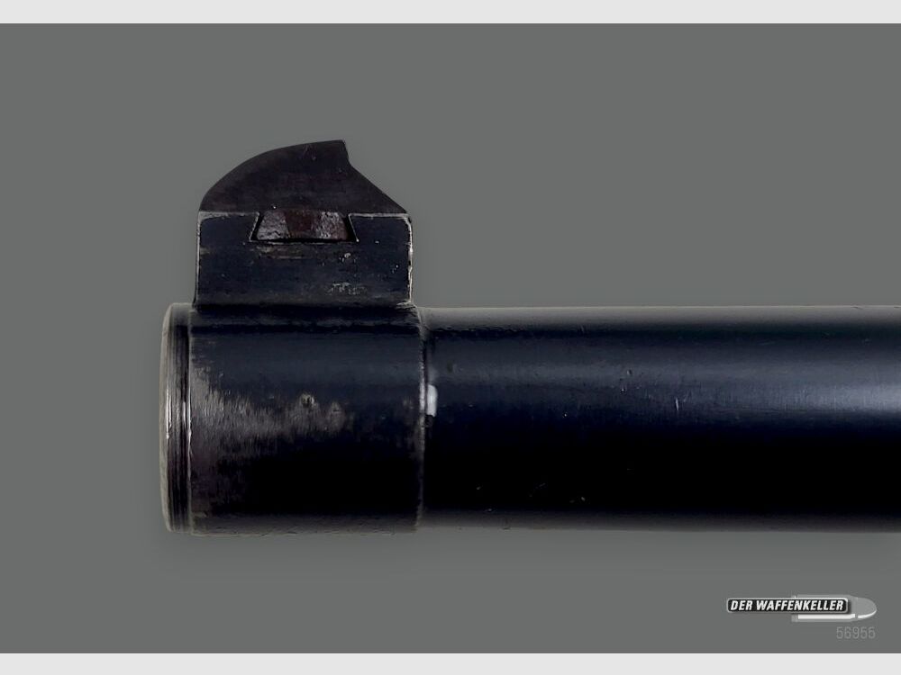 Fábrica de armas de Berna (W+F) 06/29 1929