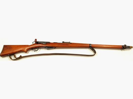 Waffenfabik Bern Lang Gewehr 96-11
