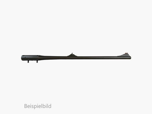 Blaser WL R8 10,3x60R sin visor cañones intercambiables