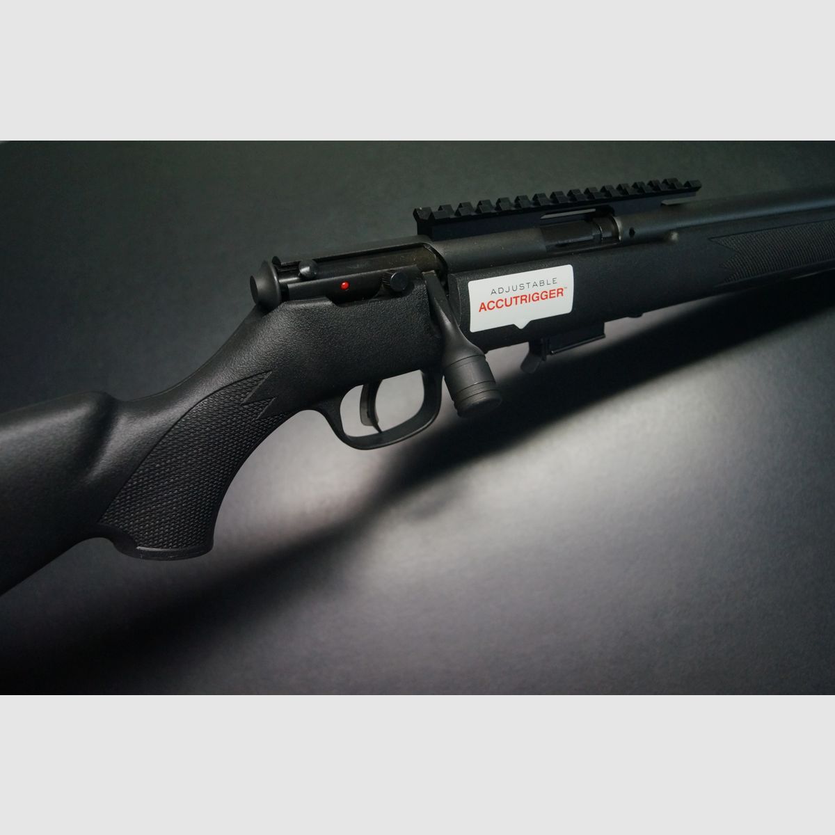 Savage Arms Model 93R17, Bild 2 von 6
