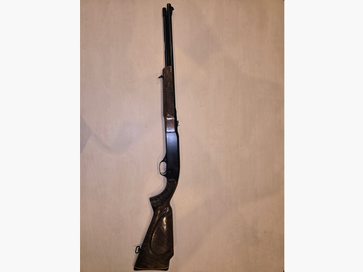 Winchester Model 290 .22lfB