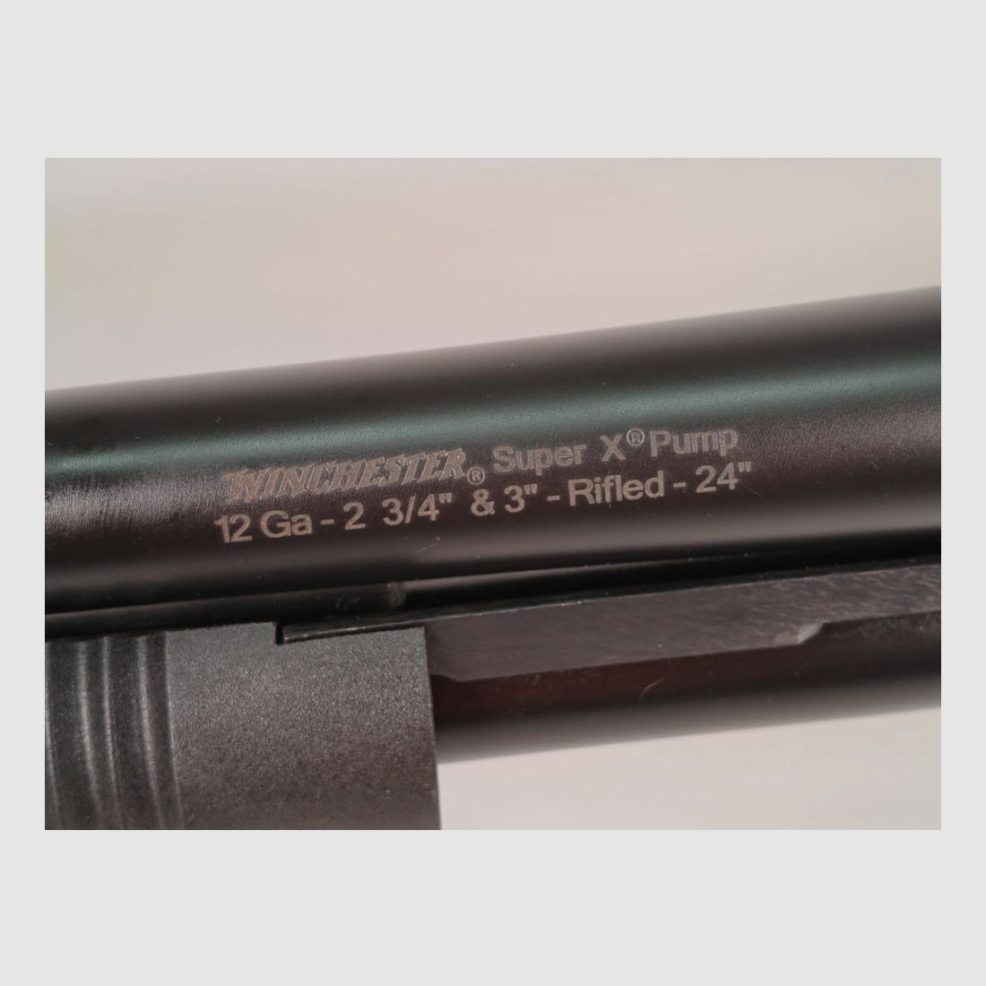 Winchester SXP