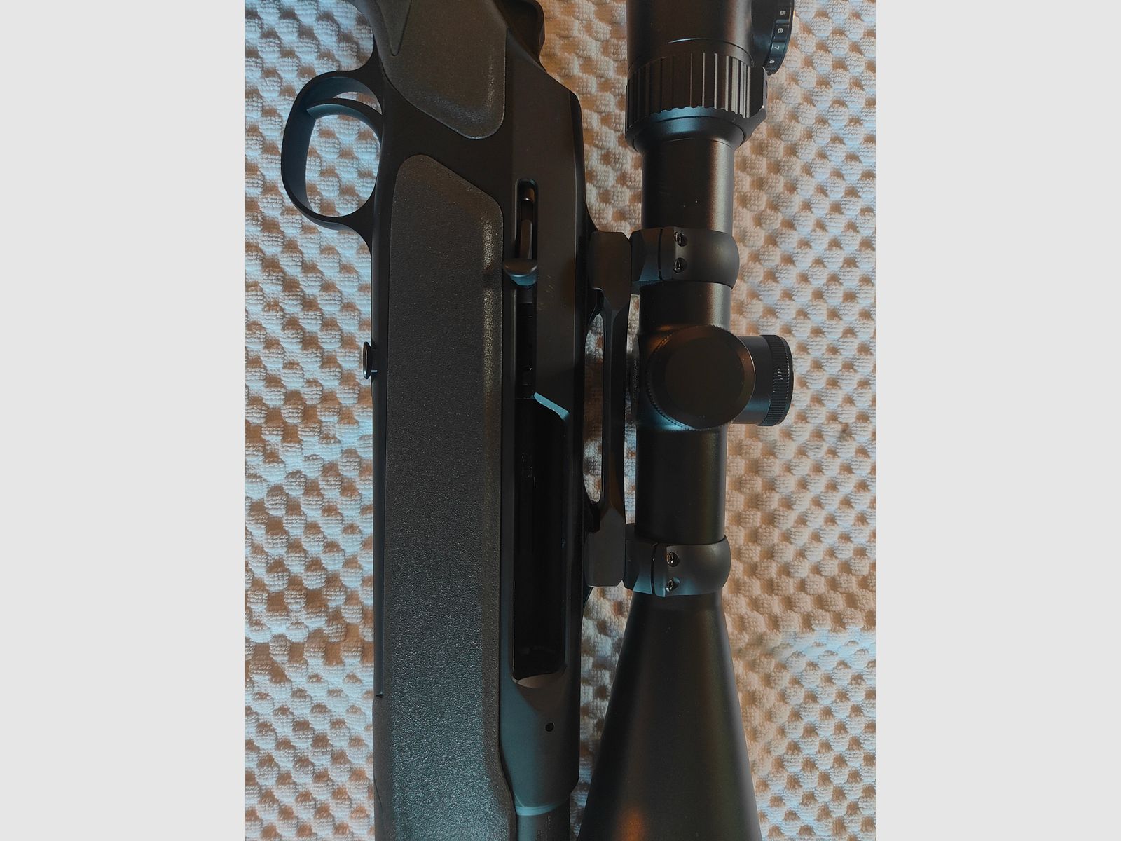Sauer 303