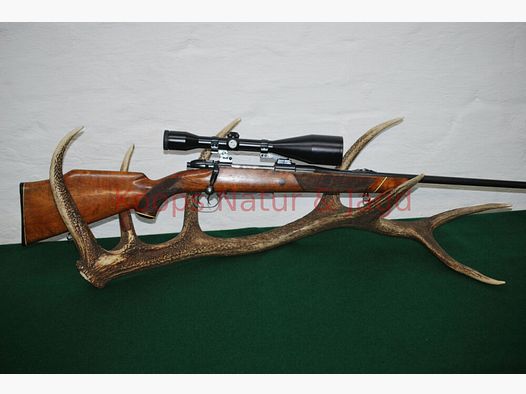 Mauser 2000