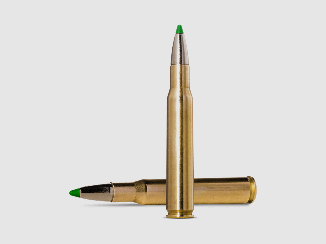 Norma .30-06 ECOSTRIKE 10.7 g 165 gr - 20 pcs