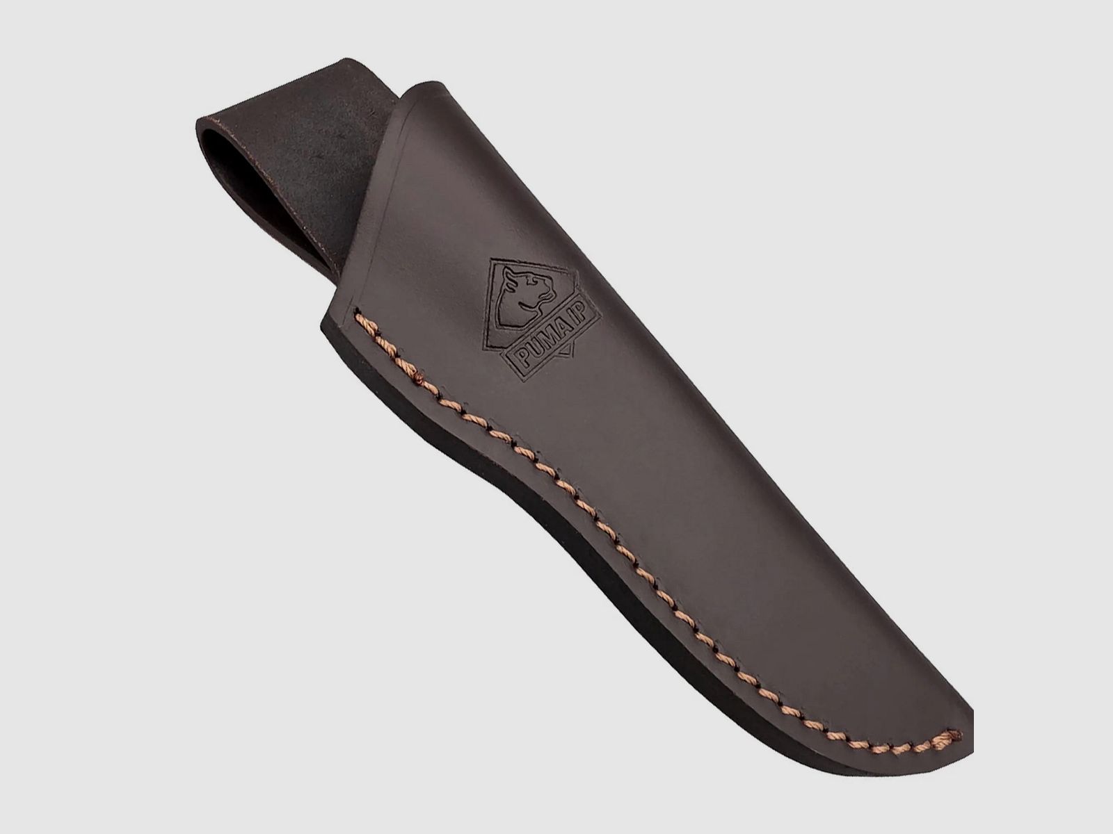 PUMA IP accipiter gentilis