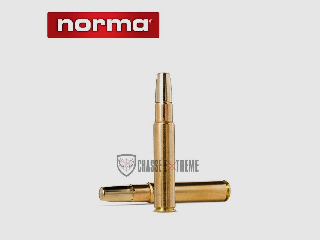 10 Patronen NORMA Solide Kal. 450 Rigby Rimless 500gr, Bild 1 von 2
