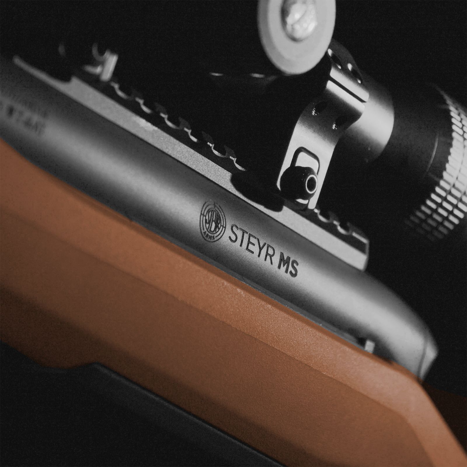 Steyr Arms MS WILD .308 Win., 3+1 magazine, direct trigger, 5/8"x24, coyote repeating rifle