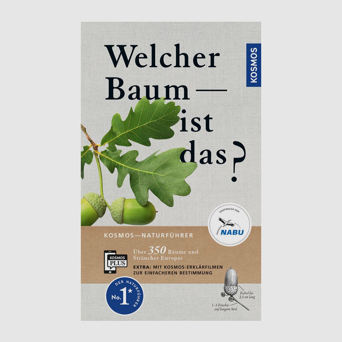 Kosmos Welcher Baum ist das? Spohn