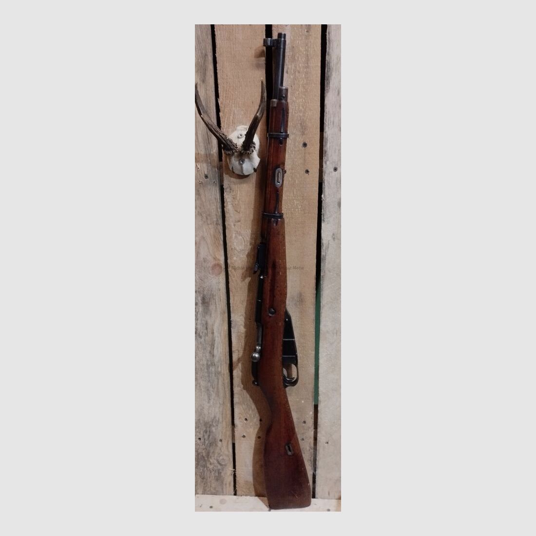 Mosin Nagant M 1938 M 1938, imagen 2 de 5