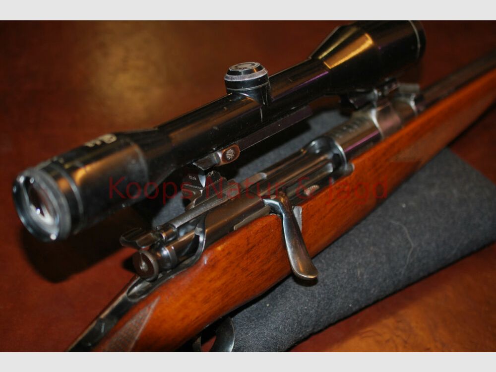 Steyr GK