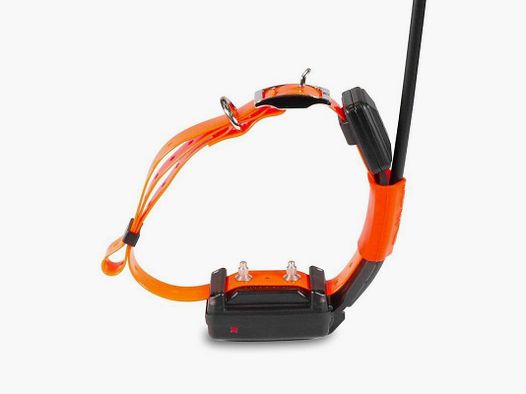 GPS DOGTRACE Collar SHORT Additional X25-T