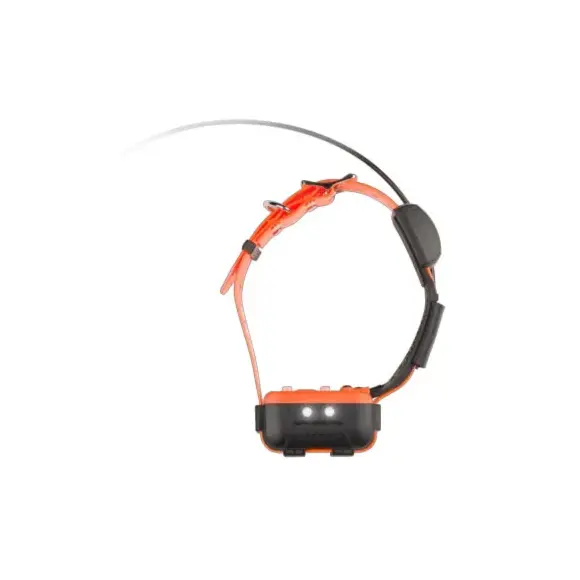 Collier Canicom GPS 2 Num'Axes - Dressur & GPS, Bild 9 von 12